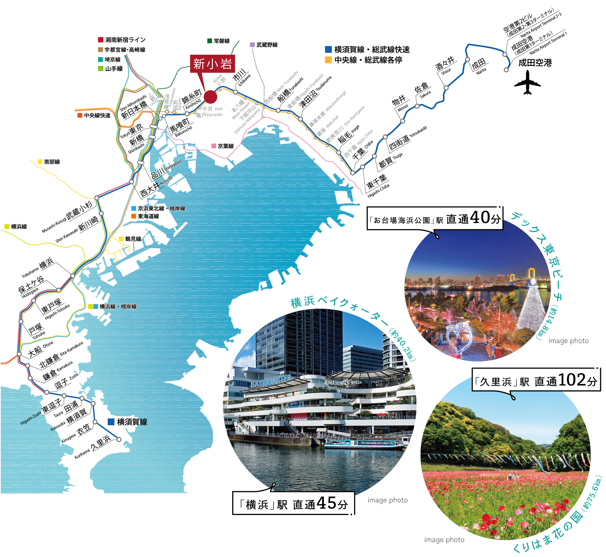 路線図