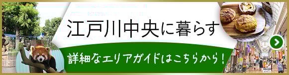気になる街の情報を取材してきました！江戸川中央に暮らす 商店街や共有プラザもご紹介