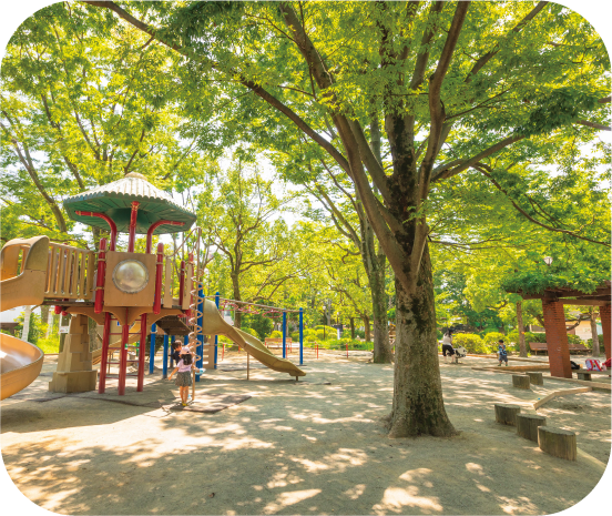 中央森林公園