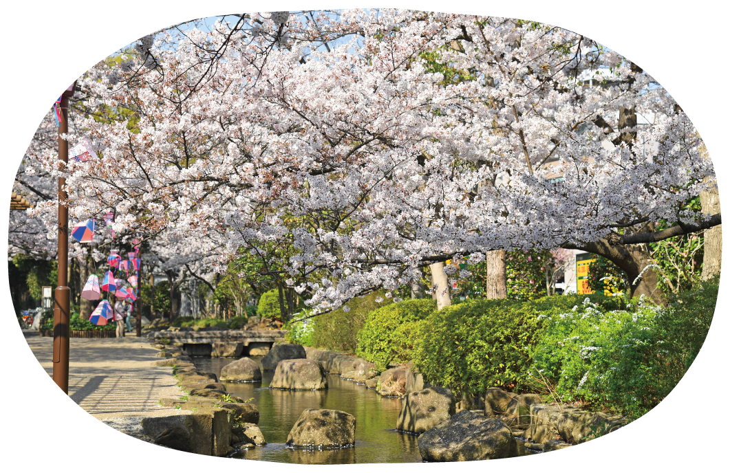 小松川境川親水公園
