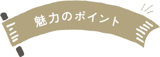 魅力のポイント