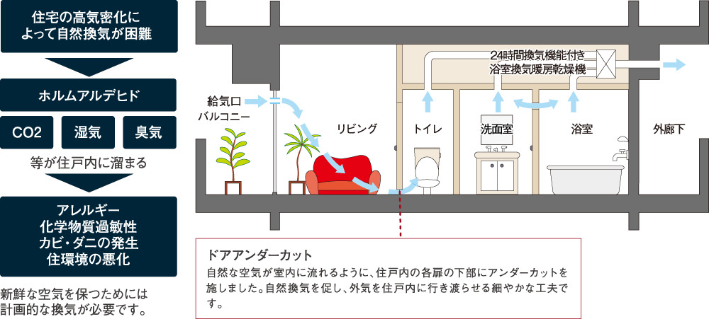 image illust