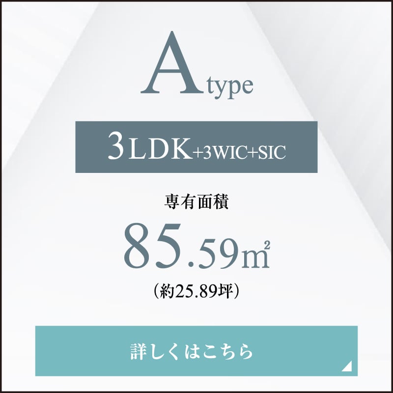 A type