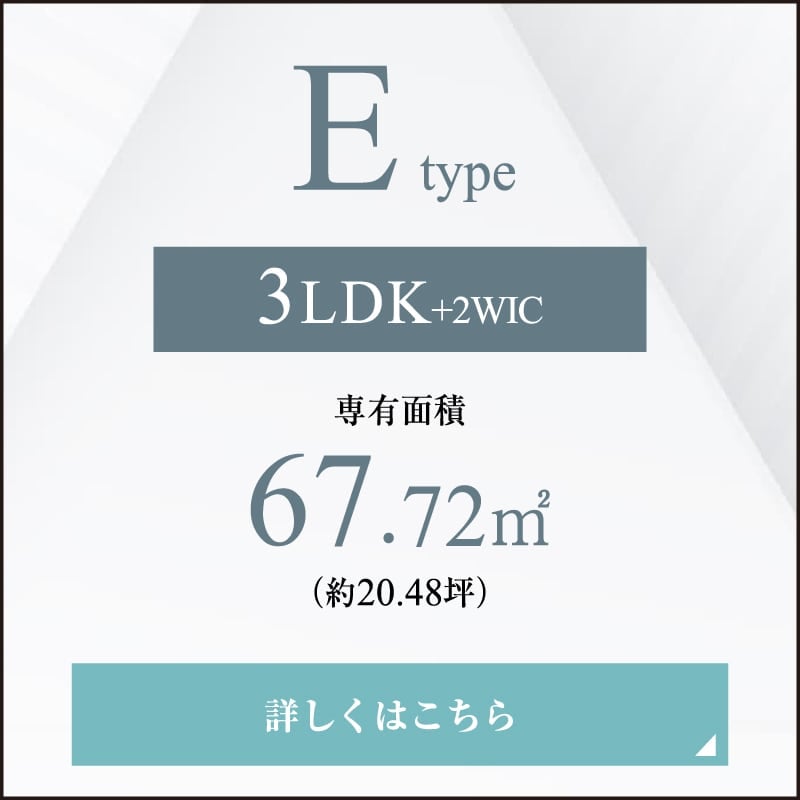 E type
