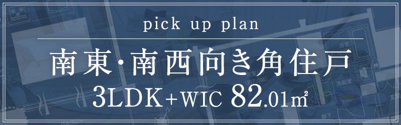 pick up plan Dtype