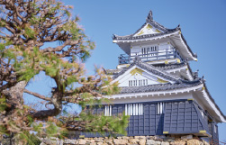 浜松城公園／浜松城