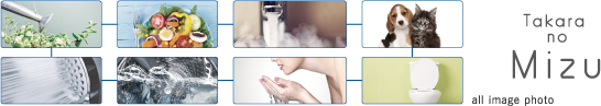 家中全ての生活水を浄活水化