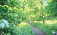 13.戸塚下台公園（徒歩9分／約690m）