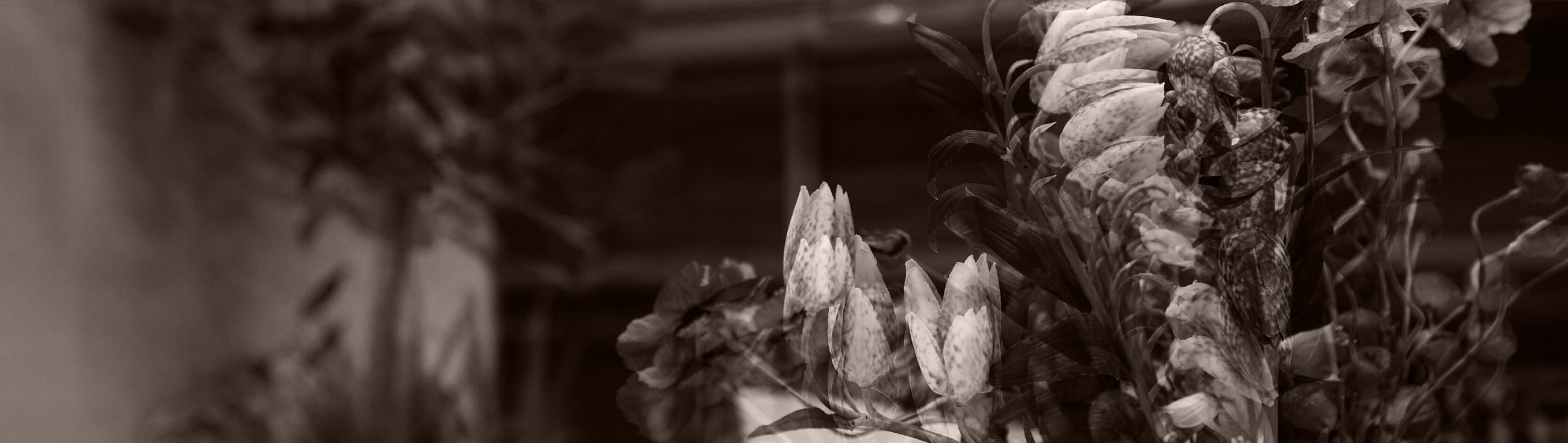 暮らしの贅を散りばめた明るく開放的な私空間。