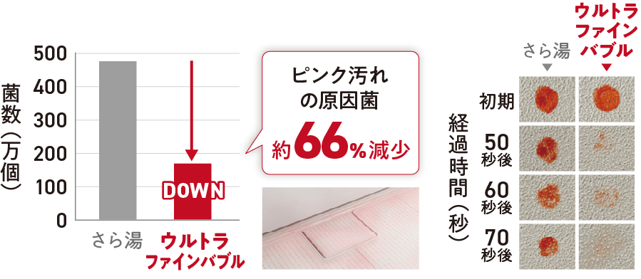 ピンク汚れの原因菌66%減少
