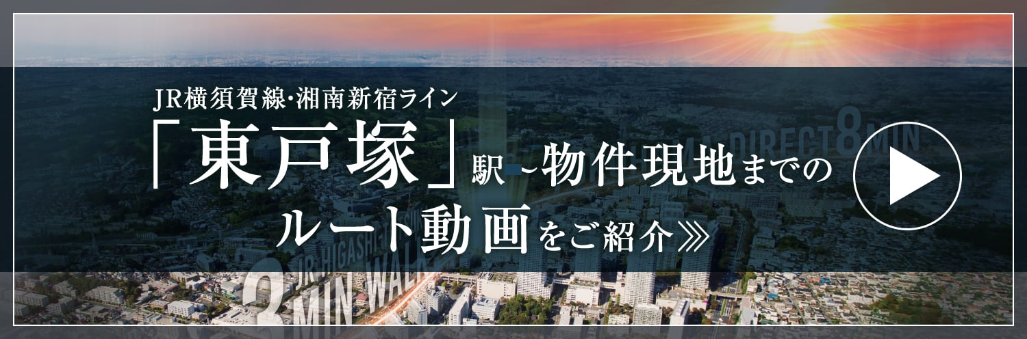 ルート動画