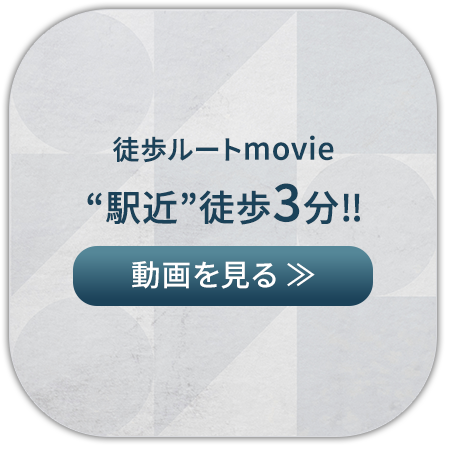 徒歩ルートmovie