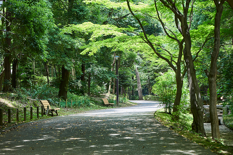 春の風公園（徒歩5分/約350m）