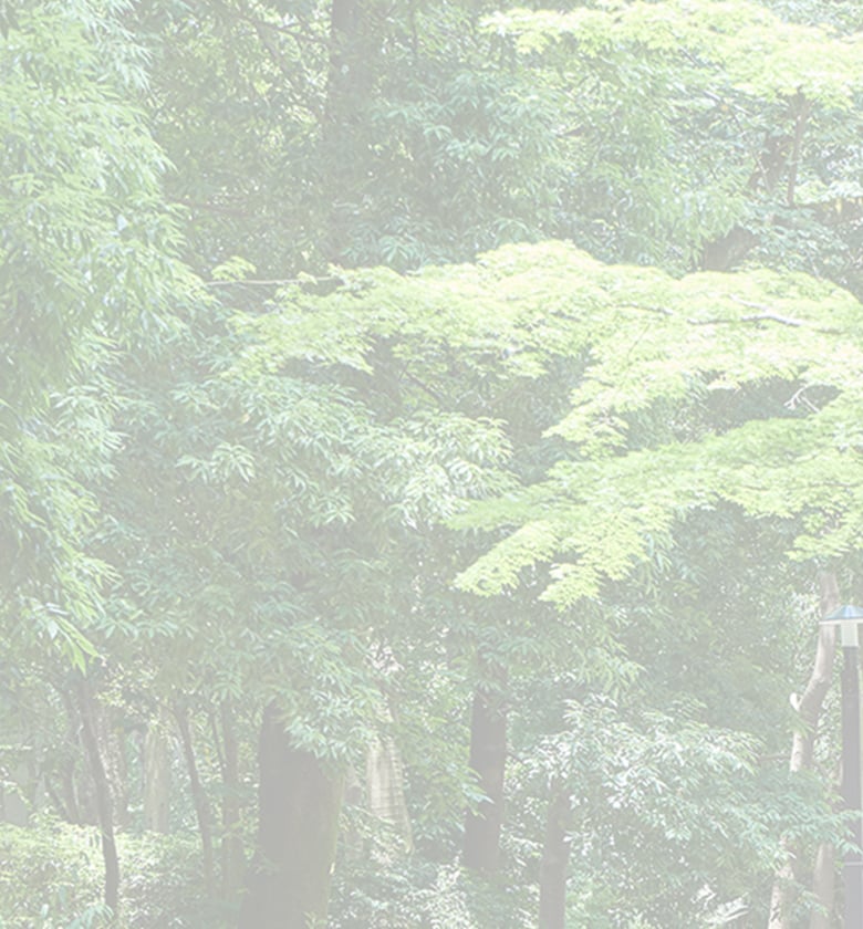 光が丘公園(徒歩21分/約1,630m)