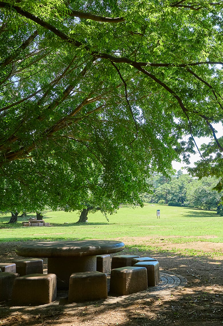 光が丘公園(徒歩21分/約1,630m)