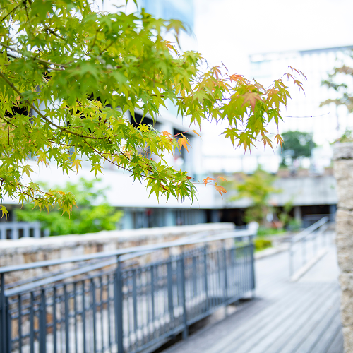 エントランスゾーン