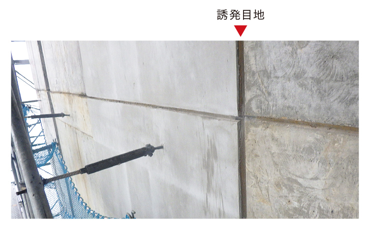 image photo