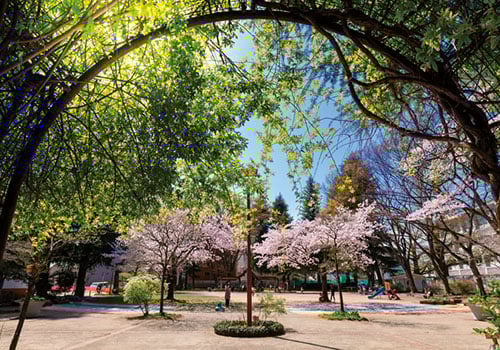 北三番丁公園(徒歩9分)