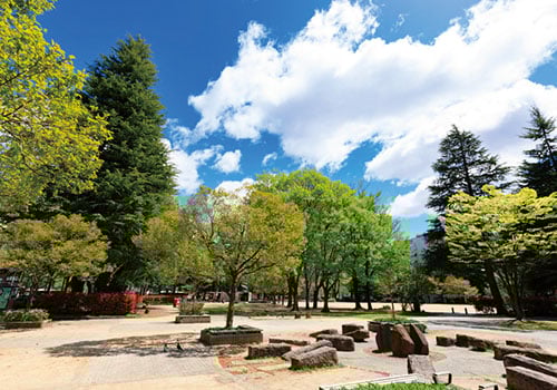 錦町公園(徒歩11分)