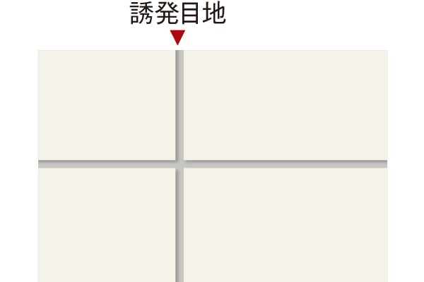 image photo