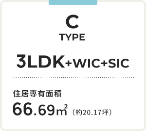 C TYPE
