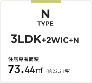 N TYPE