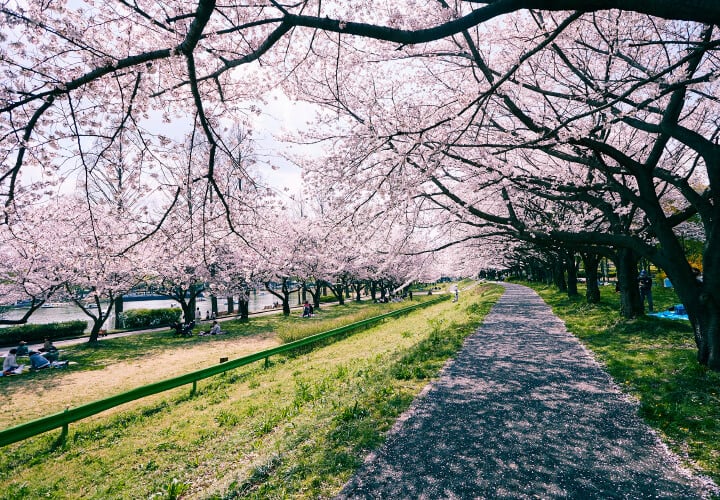 川越水上公園
