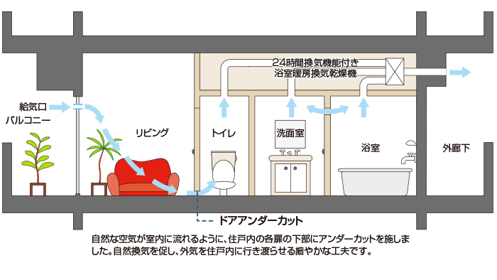 image illust