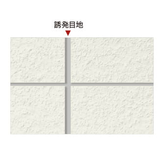 image photo