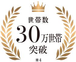 世帯数 30万世帯突破（※4）