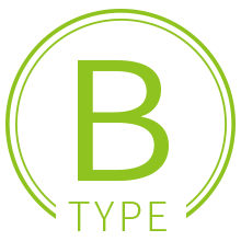 Bタイプ