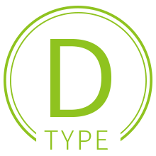 Dタイプ