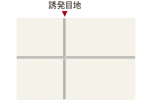 image photo