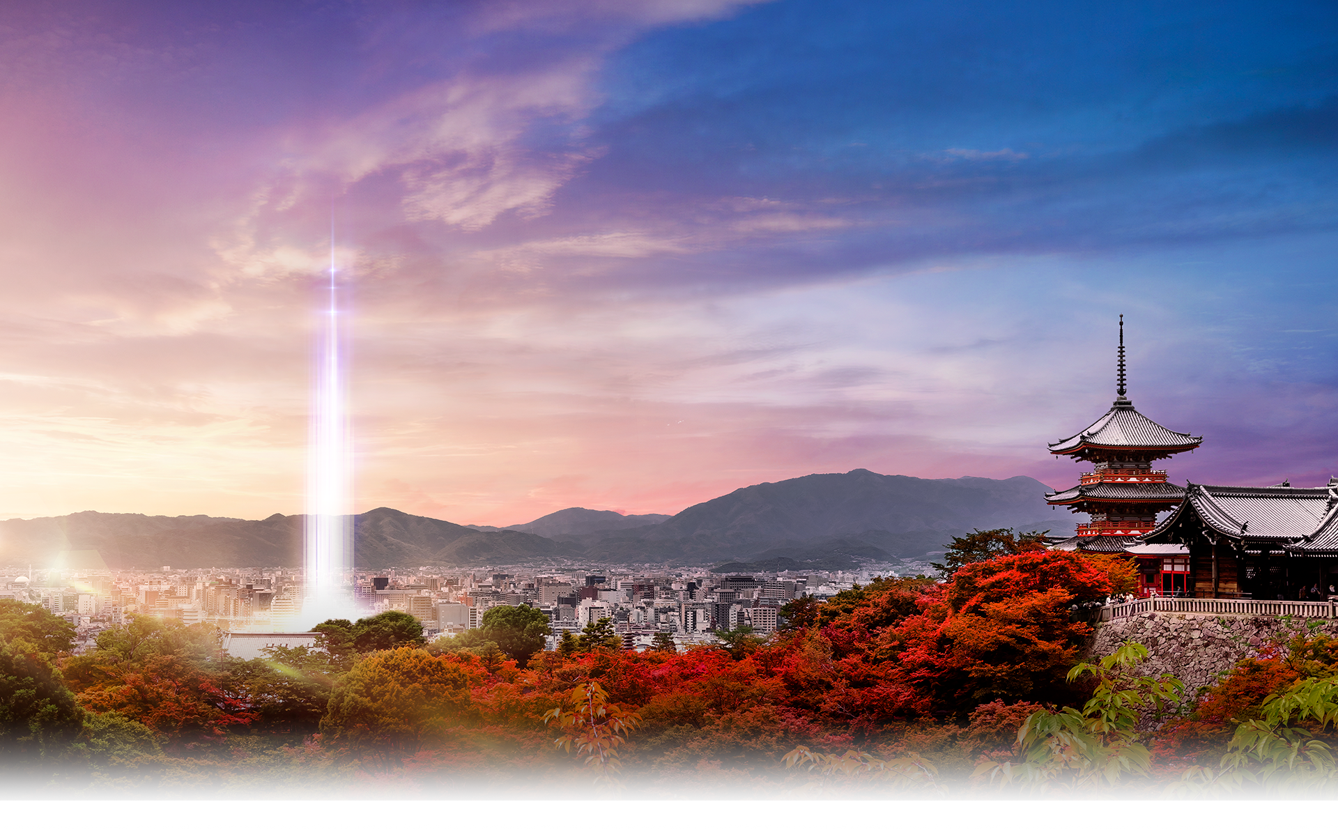航空写真