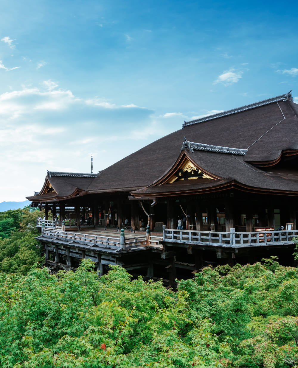 清水寺 徒歩17分・1,330m