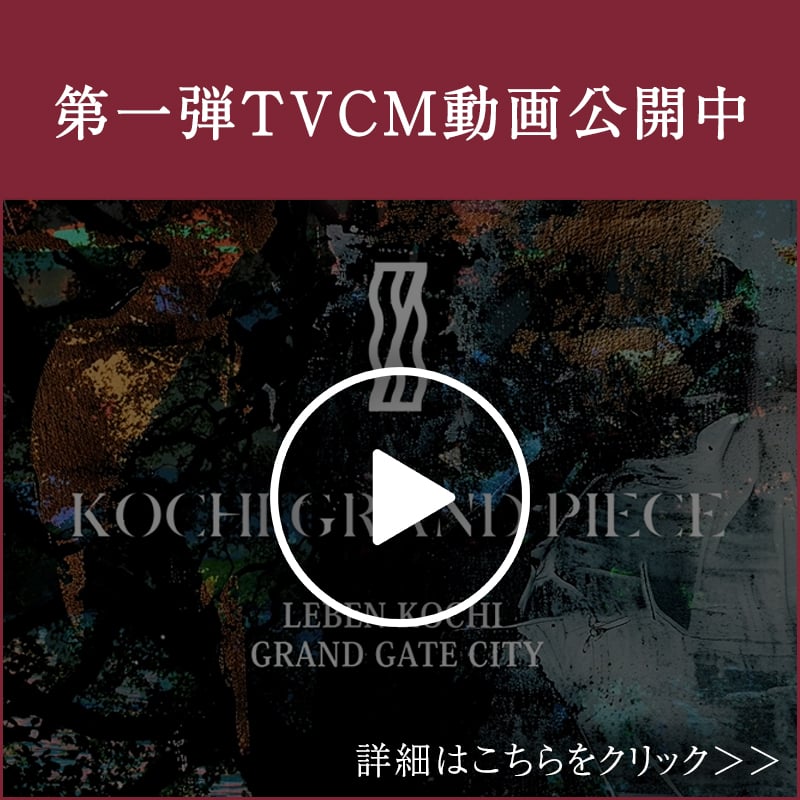 ドローン動画