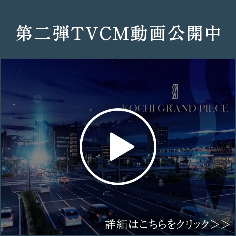 ルート動画