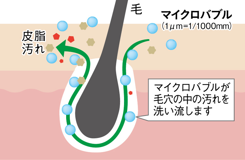image illust