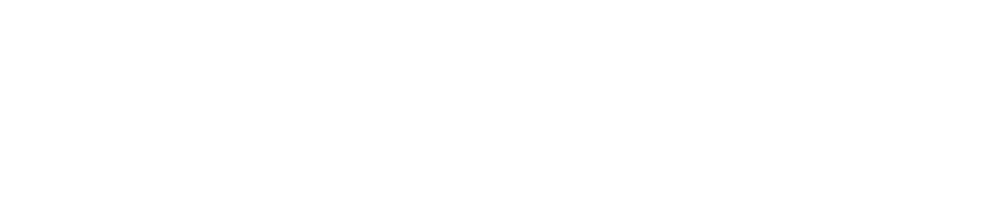 MULTI ACCESS