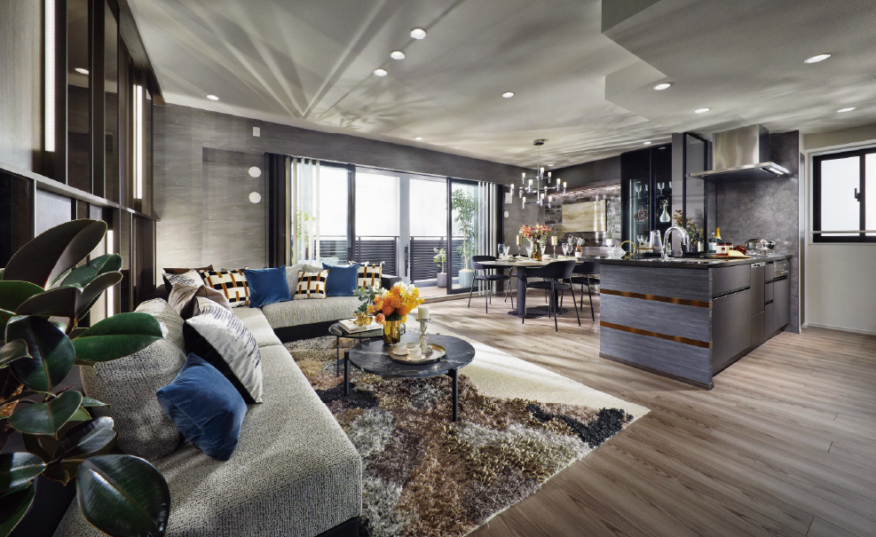 Living dining kitchen