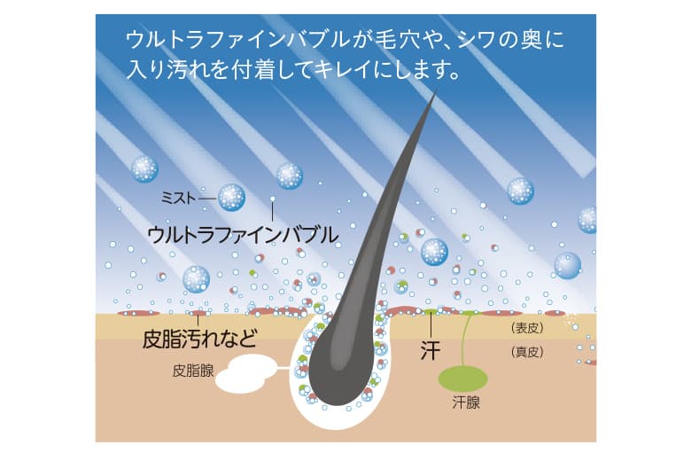 image illust