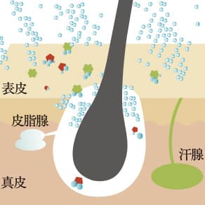 image illust