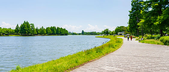 水元公園