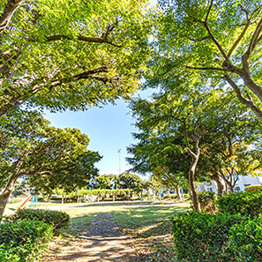 南流山6号公園