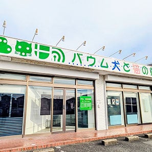 バウム犬と猫の病院