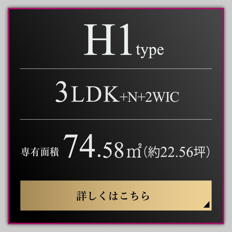 H1 type