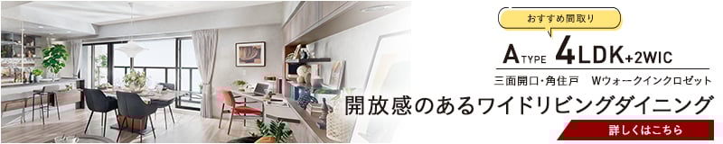 ピックアッププランAタイプ