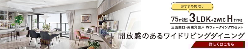 ピックアッププランHタイプ