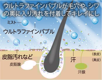 imagephoto