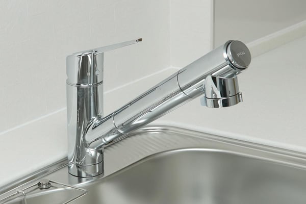 浄水器一体型節湯C1ハンドシャワー水栓